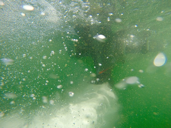 Underwater shot from GoPro of Tak moving spots. Photo by Shaye Baker